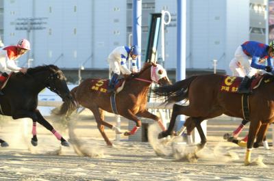 ファイル 178-5.jpg