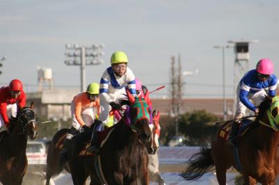 ファイル 181-4.jpg