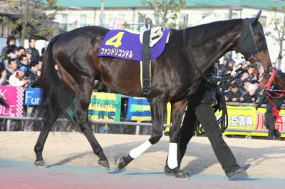 ファイル 184-1.jpg