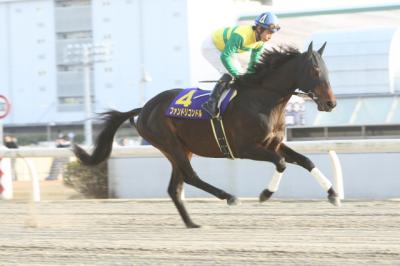 ファイル 185-2.jpg