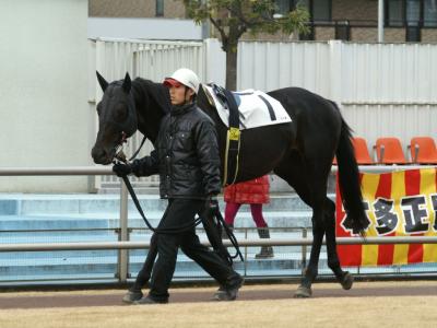 ファイル 186-1.jpg