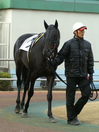 ファイル 186-2.jpg