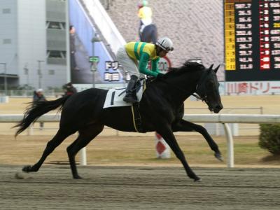 ファイル 186-5.jpg