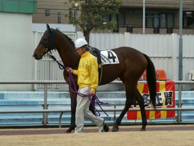 ファイル 187-1.jpg