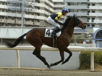 ファイル 187-5.jpg