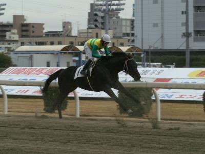 ファイル 188-1.jpg