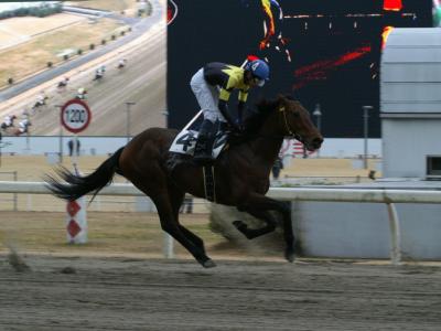 ファイル 188-4.jpg