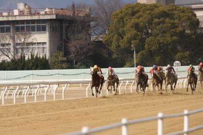 ファイル 194-5.jpg