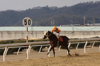 ファイル 195-2.jpg