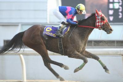 ファイル 198-2.jpg