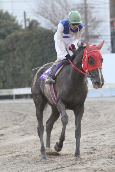 ファイル 198-4.jpg