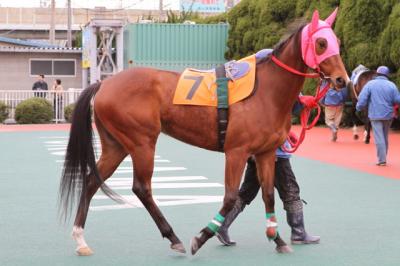 ファイル 199-1.jpg