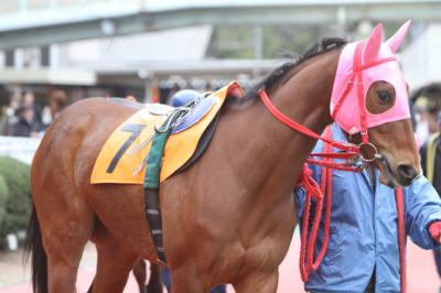 ファイル 199-2.jpg