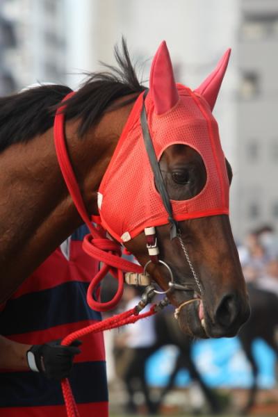 ファイル 2-1.jpg