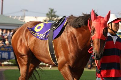 ファイル 2-3.jpg