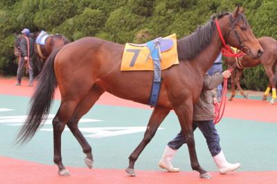 ファイル 200-1.jpg