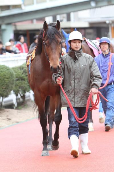 ファイル 200-2.jpg