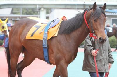 ファイル 200-4.jpg