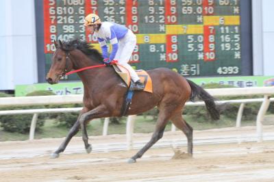 ファイル 201-1.jpg