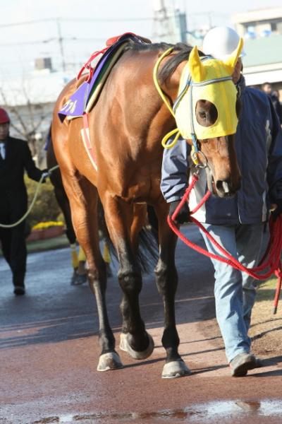 ファイル 202-2.jpg