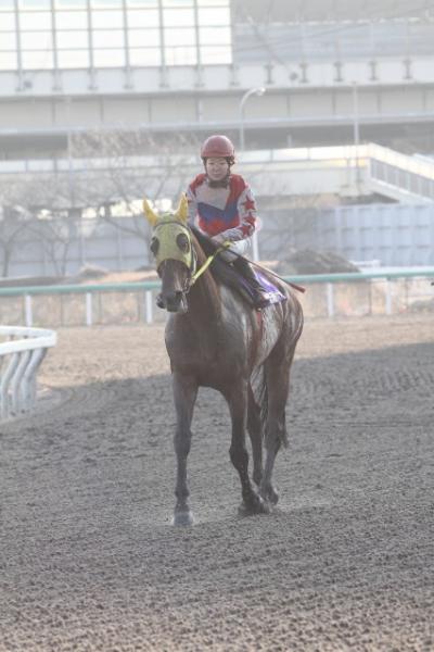 ファイル 203-3.jpg