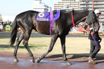 ファイル 204-1.jpg