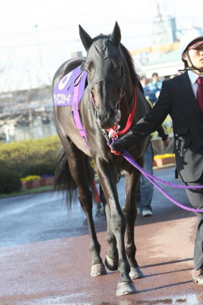 ファイル 204-3.jpg