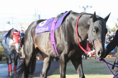 ファイル 204-4.jpg