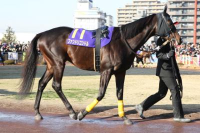 ファイル 205-1.jpg