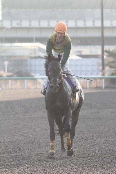 ファイル 205-4.jpg