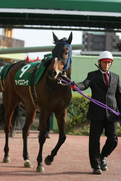 ファイル 206-1.jpg