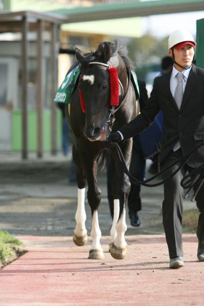 ファイル 206-2.jpg