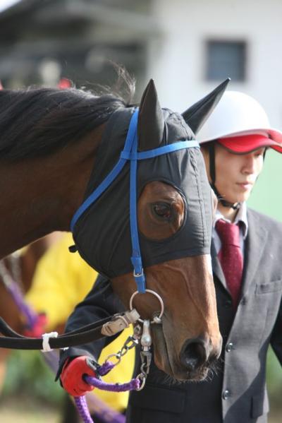 ファイル 206-3.jpg