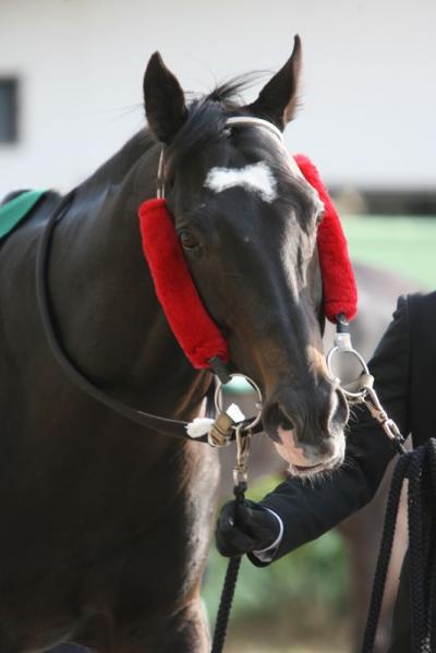 ファイル 206-4.jpg