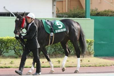 ファイル 207-2.jpg