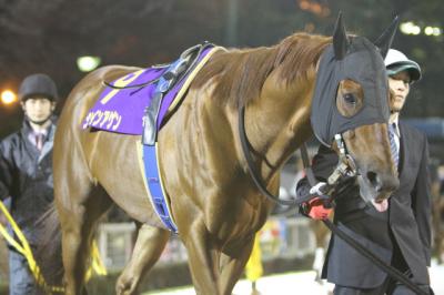 ファイル 212-3.jpg