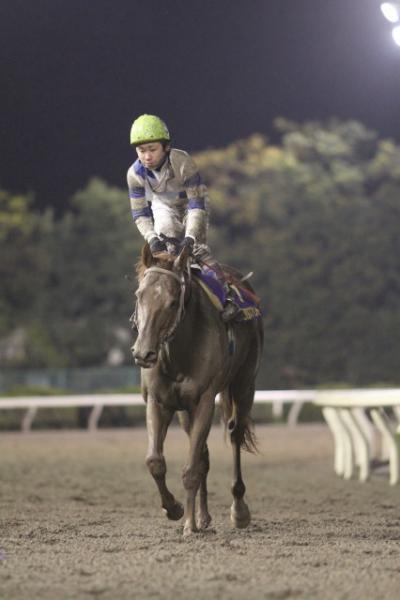 ファイル 213-3.jpg