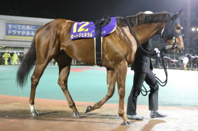 ファイル 214-1.jpg