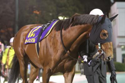 ファイル 214-3.jpg