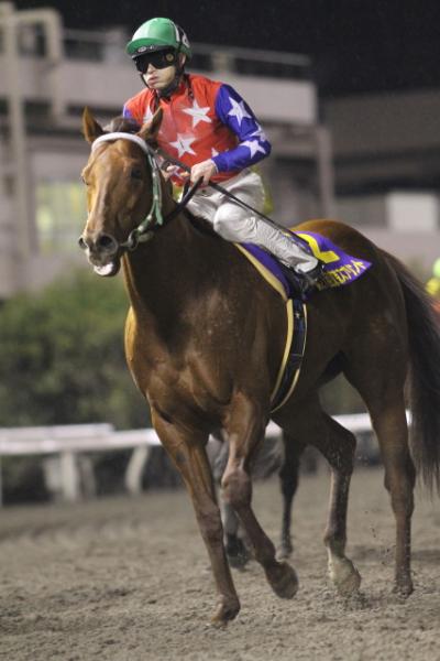 ファイル 214-5.jpg