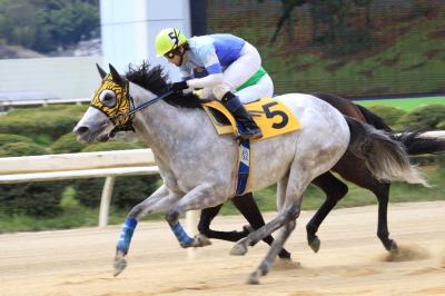 ファイル 215-2.jpg