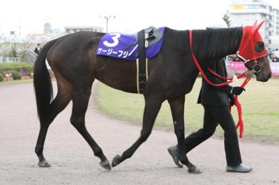 ファイル 216-1.jpg