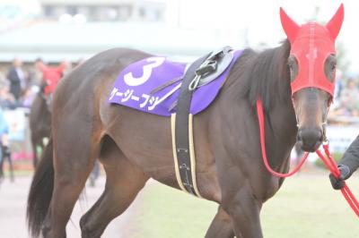 ファイル 216-4.jpg