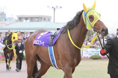 ファイル 217-4.jpg