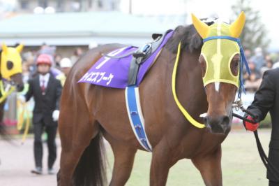 ファイル 217-5.jpg