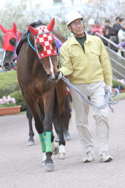 ファイル 219-2.jpg