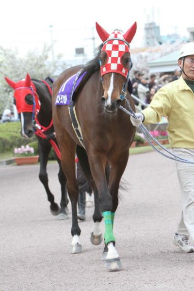 ファイル 219-3.jpg