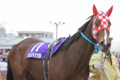 ファイル 219-4.jpg