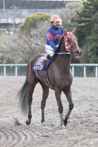 ファイル 220-2.jpg