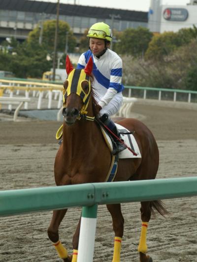 ファイル 221-2.jpg